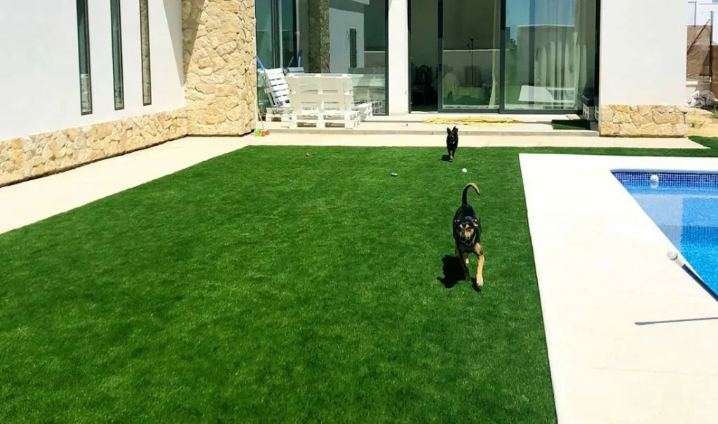 qué cesped artificial elegir para perros y mascotas